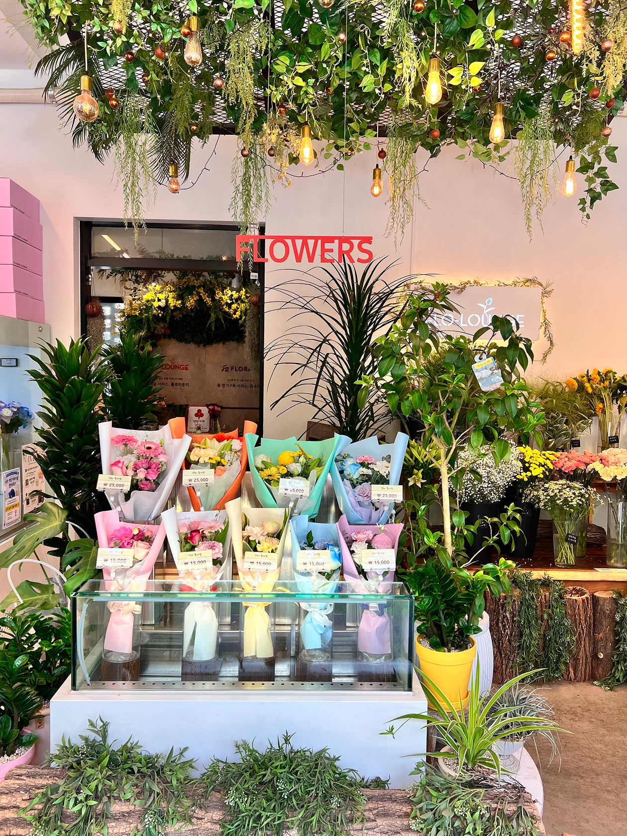 제품 및 서비스 이미지 2