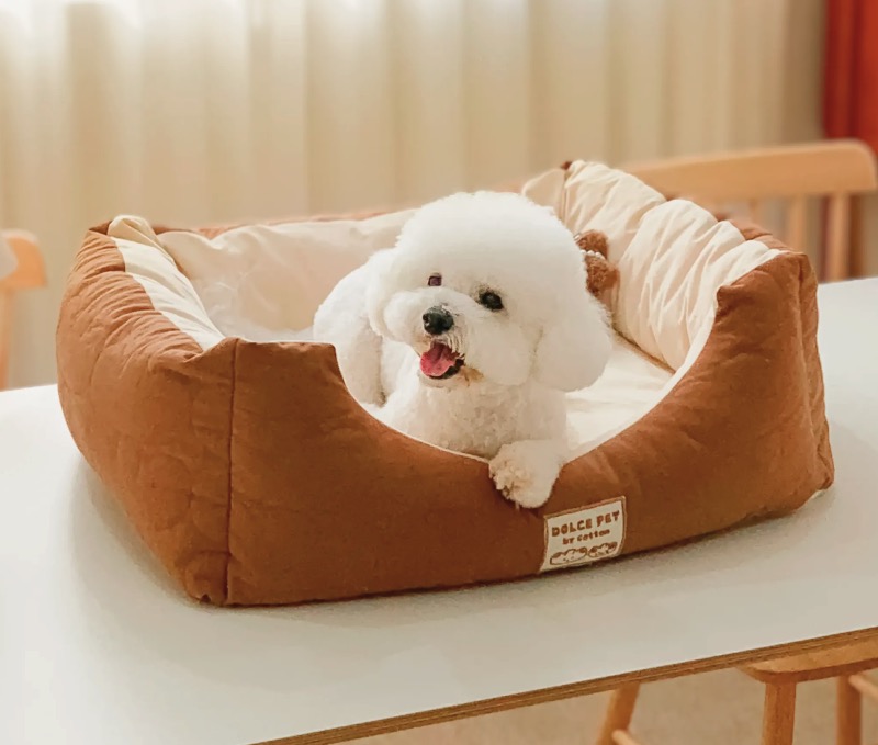 제품 및 서비스 이미지 2